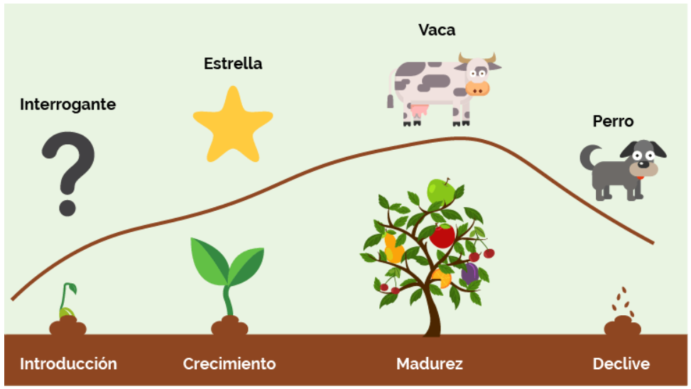 Ciclo de vida del producto con relación a la BCG