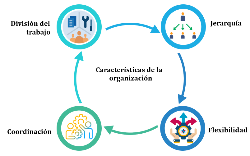 Figura 1. Características de la organización - Nota: Creación de autor Eugenia Sánchez R.