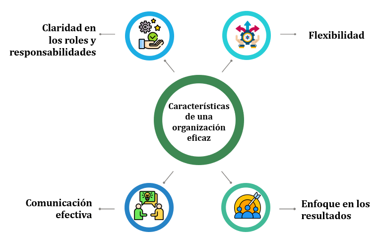 Figura 1 Características de una organización eficaz - Nota: Creación de autor Eugenia Sánchez R.