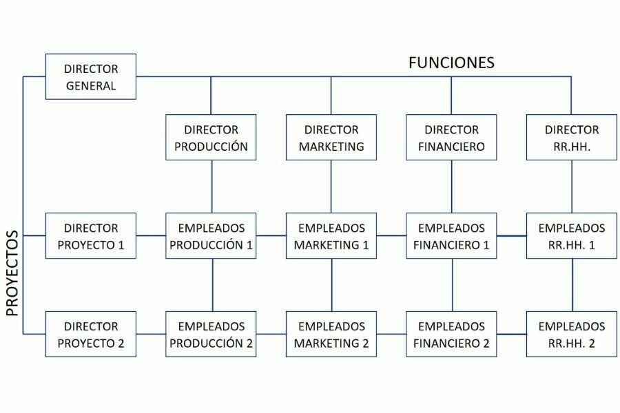 Figura 5 Organigrama matricial con 