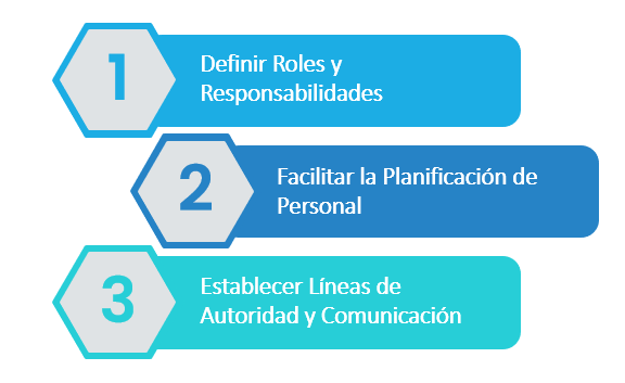 Figura 1 ¿Qué permite el organigrama en la empresa? - Nota: Creación de autor Eugenia Sánchez R.