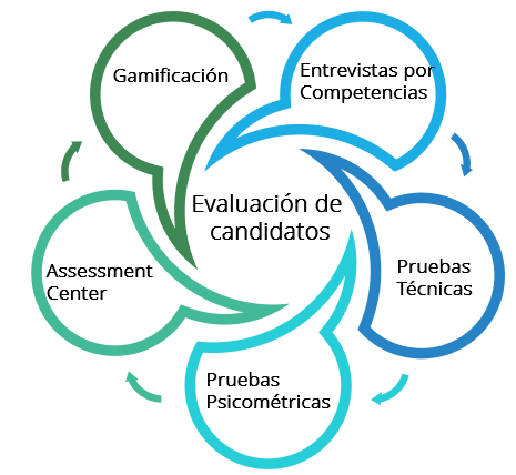 Figura 5 Evaluación de Candidatos - Nota: Creación de autor Eugenia Sánchez R.