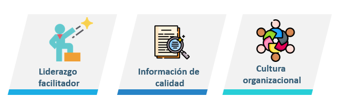 Figura 4 Factores de éxito - Nota: Creación de autor Eugenia Sánchez R.