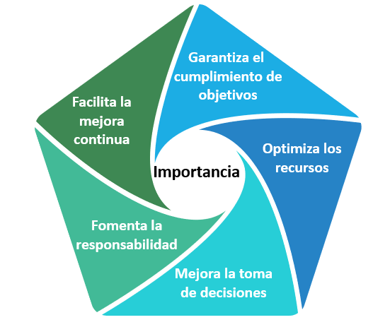 Figura 2 Importancia Estratégica del Control en la Gestión Empresarial - Nota: Creación de autor Eugenia Sánchez R.