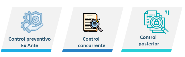 Figura 4 Tipos de control - Nota: Creación de autor Eugenia Sánchez R.