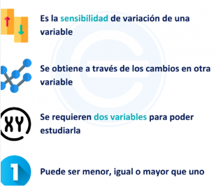Figura 7. Principios de la elasticidad en economía Fuente: Infoeconomia, 2013