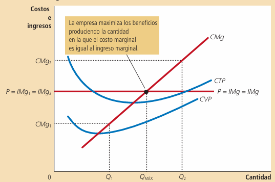 Gráfico 5: Maximización de beneficios