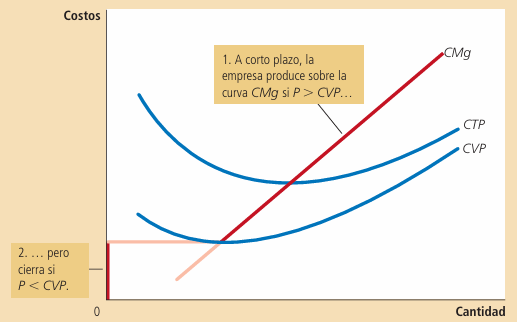 Gráfico 6: Decisión de la firma en el corto plazo