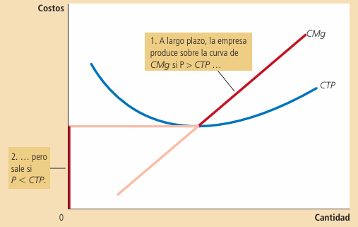 Gráfico 7: Decisión de la firma en el largo plazo