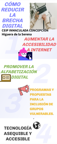 Imagen 5: Infografía sobre alfabetización digital
