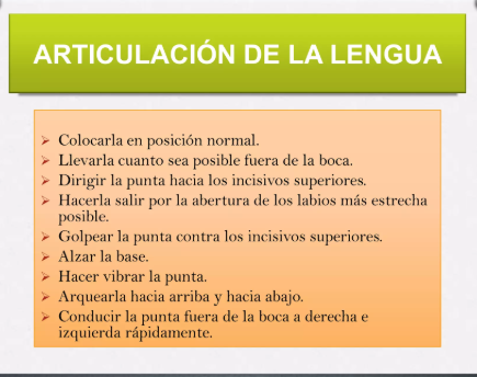Imagen 6: Articulación de la lengua