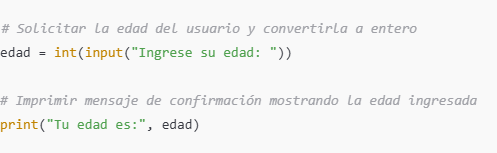 Imagen 3: Ejemplo de Input y Output en Python - Damián Nicolalde Rodríguez. (2024)