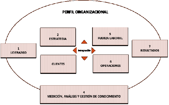 Figura 1: Elementos o criterios del Modelo Malcolm Baldrige