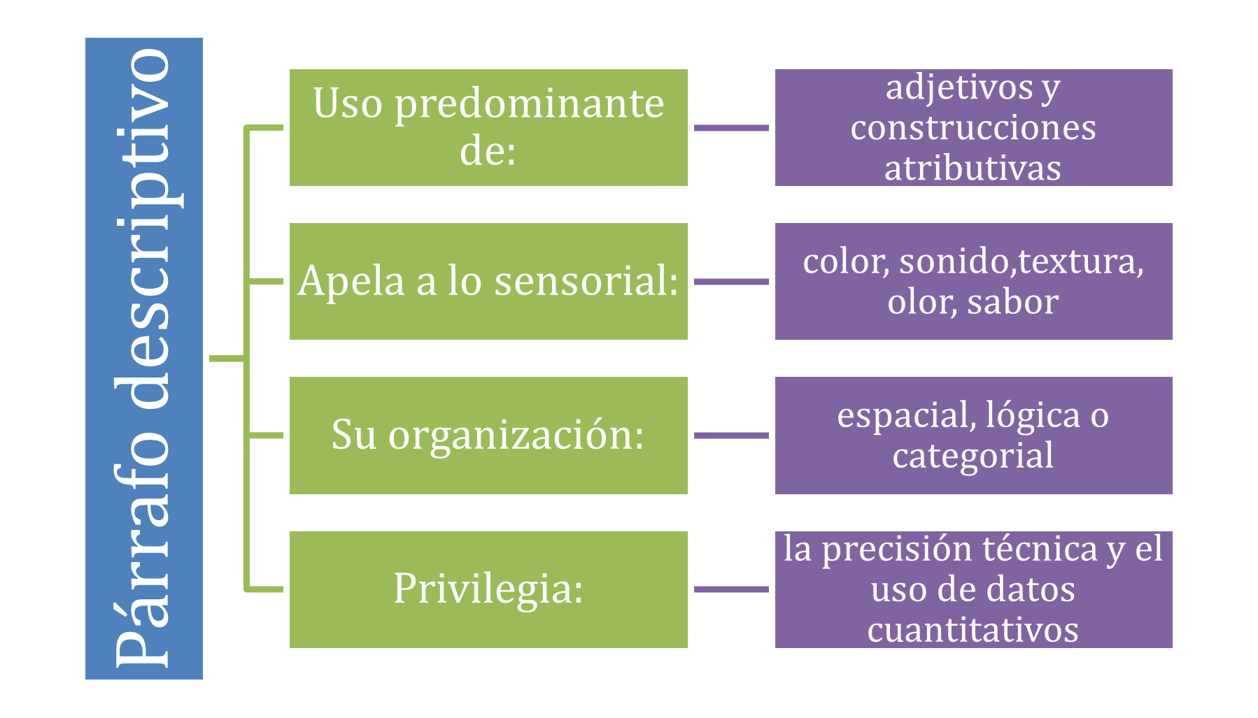 Figura 2 Características principales del párrafo descriptivo