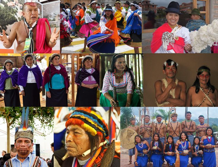 Figura 5 Diversidad étnica del Ecuador