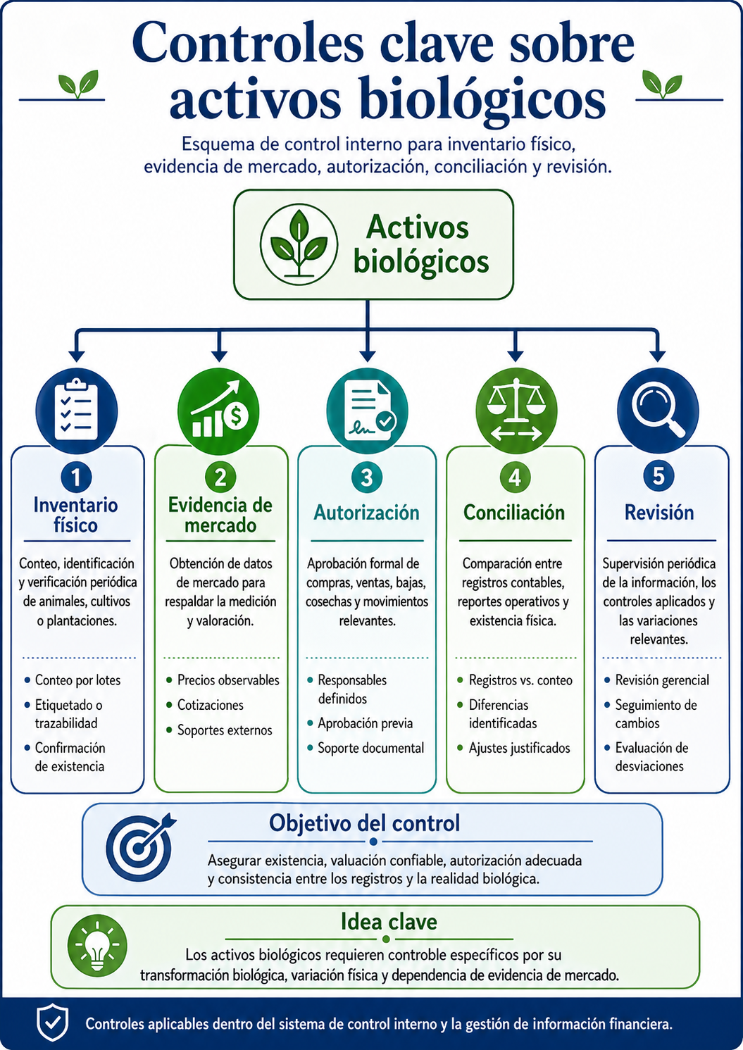 Controles clave sobre activos biológicos