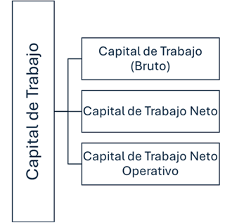 Tipos de Capital de Trabajo