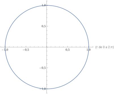 Figura 5 Representación de una trayectoria circular mediante una función vectorial en formato GIF.