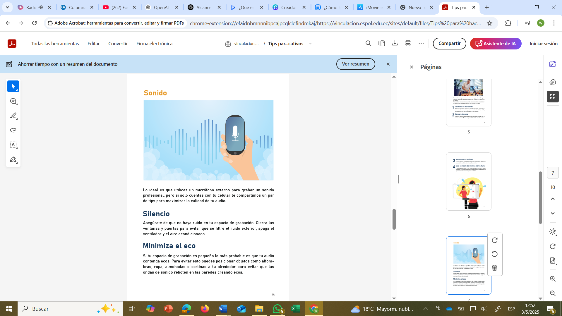 Figura 5  Aspectos a considerar en la elaboración del audio