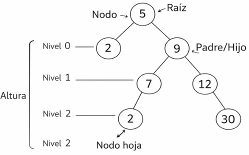 Terminología en árboles binarios