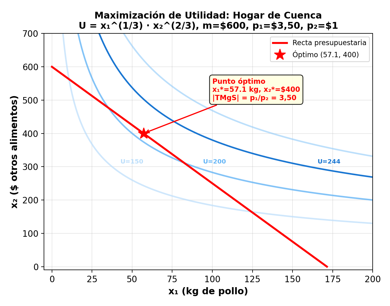Solución gráfica del problema de maximización del hogar de Cuenca 