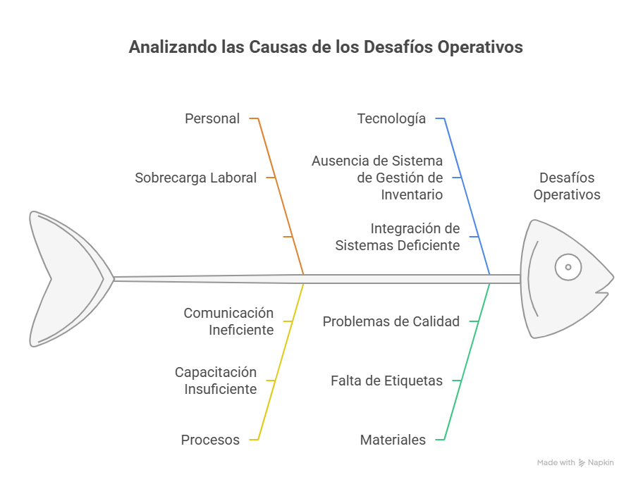 Figura 8 Ejemplo de diagrama de Ishikawa