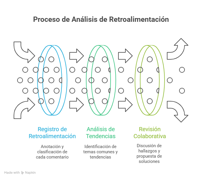 Figura 1 Proceso de análisis de la retroalimentación