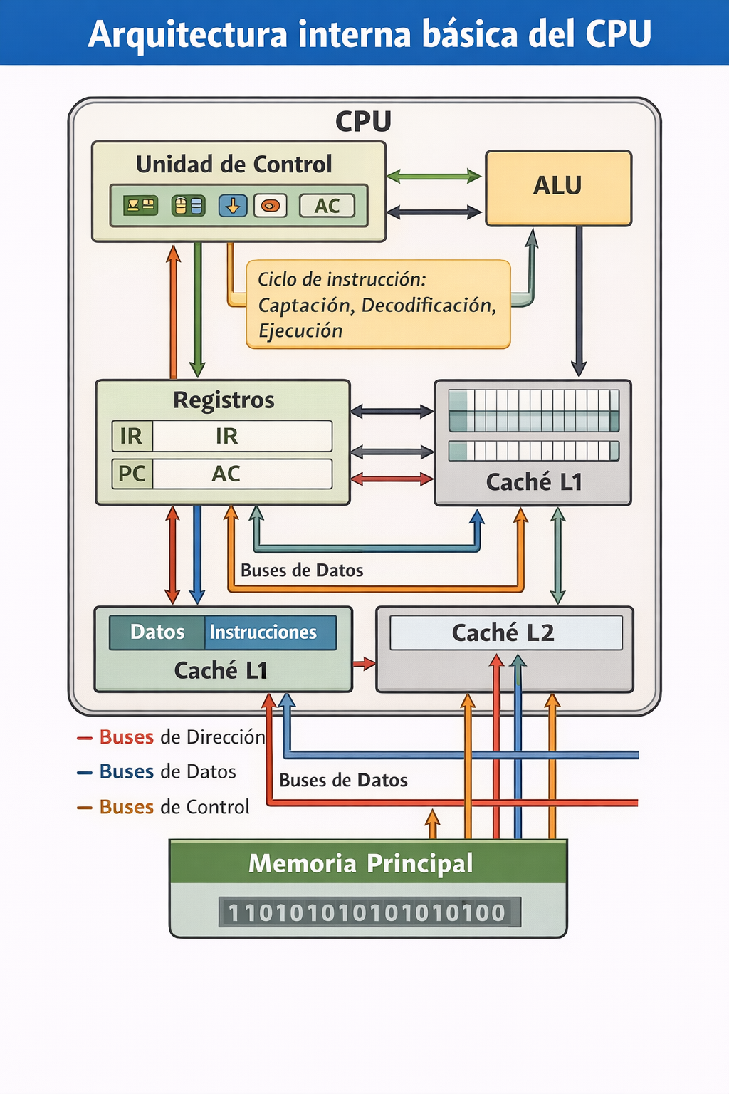 Arquitectura interna del computador
