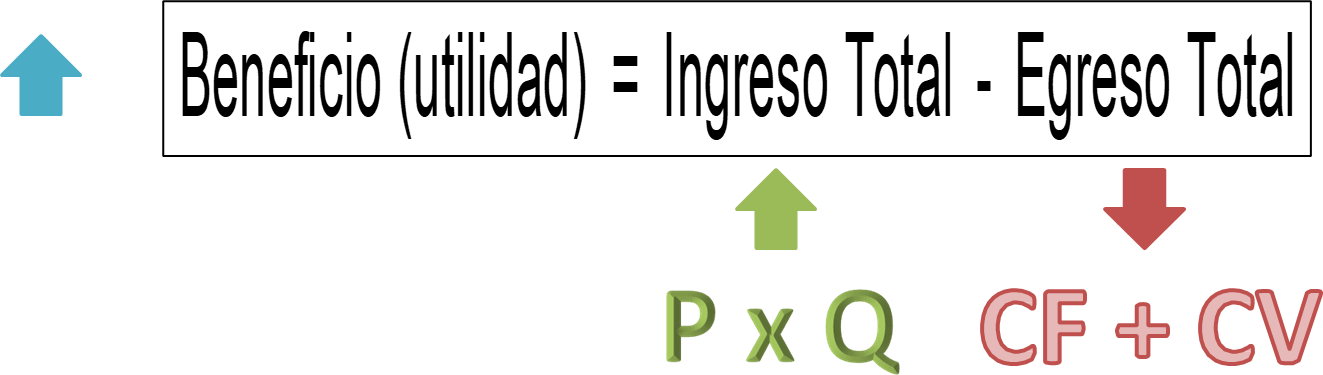 Objetivo principal de la empresa